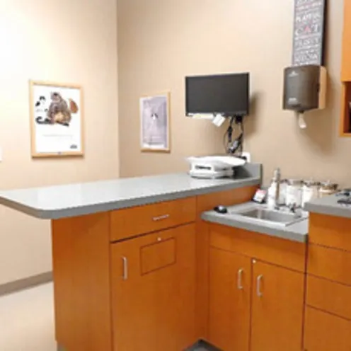 Valley Animal Hospital examination room with exam table and sink area
